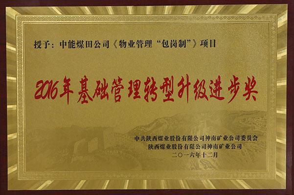 NG28-不凡成就非凡,相信品牌的力量