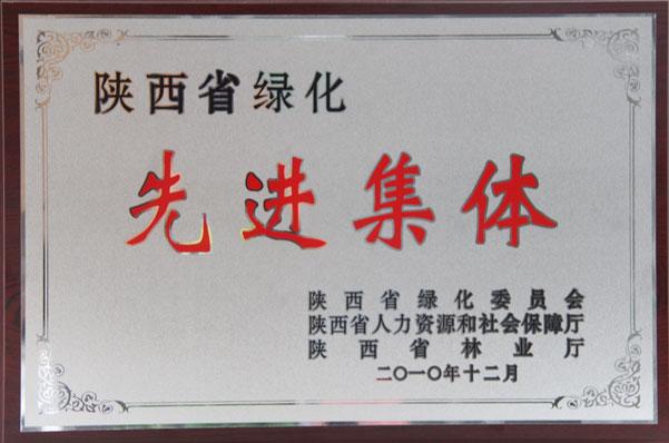 NG28-不凡成就非凡,相信品牌的力量